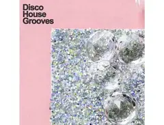 Samplestar Disco House Grooves main image