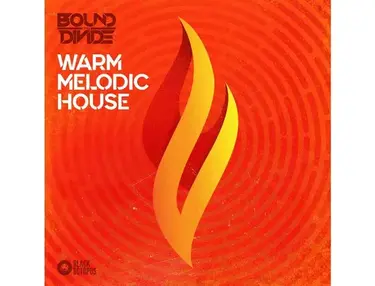 Black Octopus Warm Melodic House