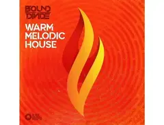 Black Octopus Warm Melodic House main image