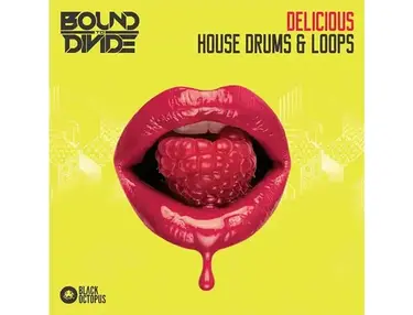 Black Octopus Delicious House Drums & Loops
