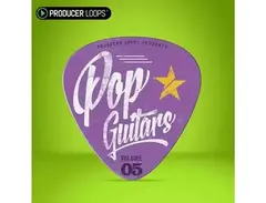 Producer Loops Pop Guitars Vol 5 main image