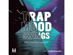 Big Fish Audio Trap Mood Swings main image