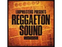 Loopmasters Reggaeton Sound 1 main image