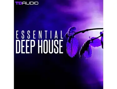 Industrial Strength TD Audio â Essential Deep House
