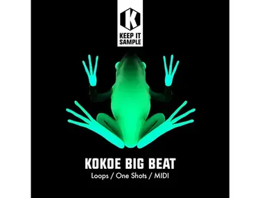 Keep It Sample Kokoe Big Beat
