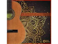 Black Octopus Striking Latin Guitar main image