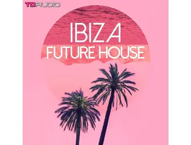 Industrial Strength TD Audio â Ibiza Future House