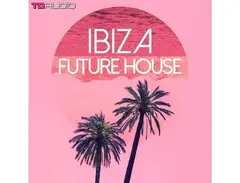 Industrial Strength TD Audio â Ibiza Future House main image