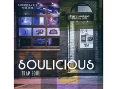 Famous Audio Soulicious main image