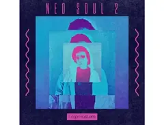 Loopmasters Neo Soul 2 main image