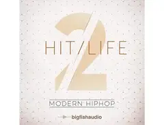 Big Fish Audio Hit Life 2 main image