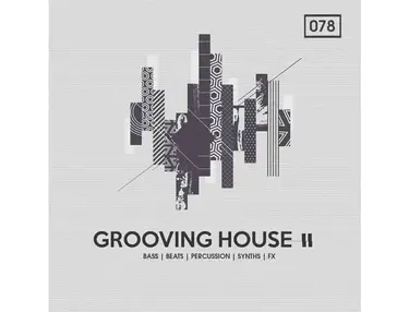 Bingoshakerz Grooving House 2