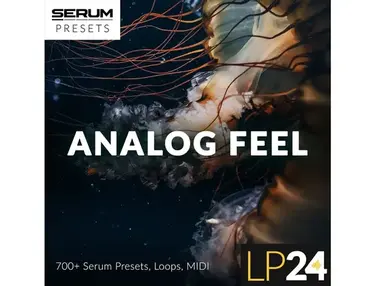 LP24 Audio Analog Feel