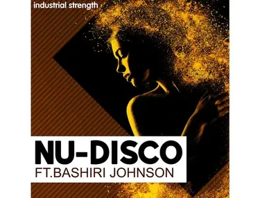 Industrial Strength Nu-Disco Ft. Bashiri Johnson