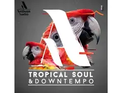 Artisan Audio Tropical Soul & Downtempo main image