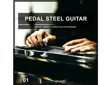 Image Sounds Present - Pedal Steel Guitar 1