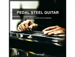 Image Sounds Present - Pedal Steel Guitar 1 main image