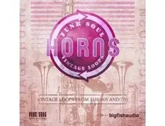 Big Fish Audio Funk Soul Vintage Horns