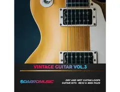 DABRO Music Vintage Guitar Vol.3 main image