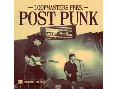 Loopmasters VIBES 13 - Post Punk