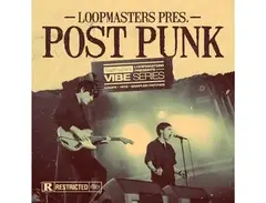 Loopmasters VIBES 13 - Post Punk main image