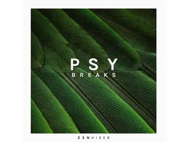 Zenhiser Psy Breaks