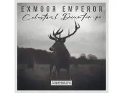 Loopmasters Exmoor Emperor - Celestial Downtempo main image