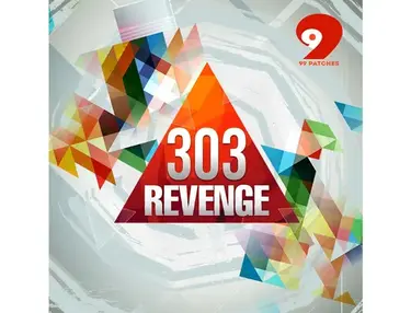 Class A Samples 99 Patches Presents: 303 Revenge