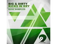 Class A Samples 99 Patches Presents: Big & Dirty Kicks in Key main image