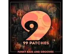Class A Samples 99 Patches Presents: Funky Bass and Grooves main image