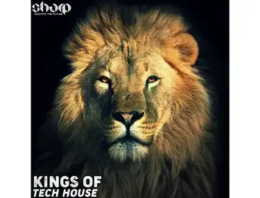 SHARP Kings Of Tech House