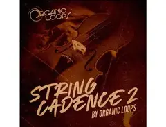 Organic Loops String Cadence 2 main image