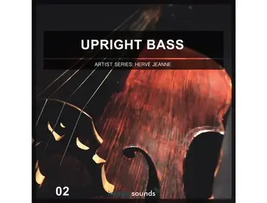 Image Sounds Image Sound - Upright Bass 2