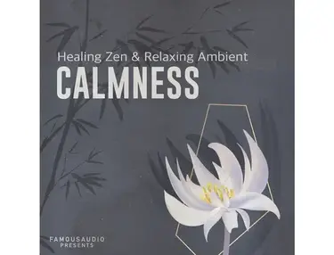 Famous Audio Calmness: Healing Zen & Relaxing Ambient