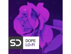 Sample Diggers Dope Lo-Fi main image