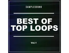 Samplesound - Best Of Top Loops main image