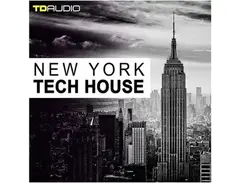 Industrial Strength TD Audio - New York Tech-House main image