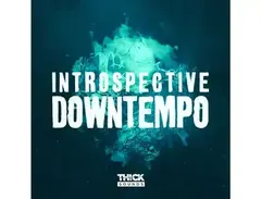 THICK Sounds Introspective Downtempo main image