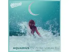 91Vocals Aquarius - Crystal Vocals main image