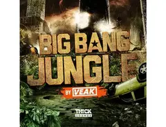 Big Bang Jungle by Veak main image
