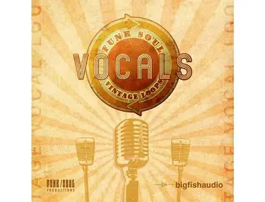 Big Fish Audio Funk Soul Vintage Vocal Loops