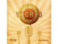 Big Fish Audio Funk Soul Vintage Vocal Loops main image