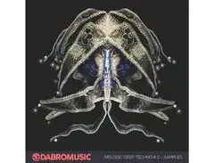 DABRO Music Melodic Deep Techno 2 main image