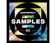 Deeperfect Samples Vol. 1 main image