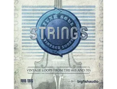 Big Fish Audio Funk Soul Vintage String Loops