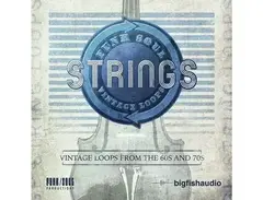 Big Fish Audio Funk Soul Vintage String Loops main image