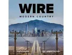 Big Fish Audio Wire - Modern Country main image