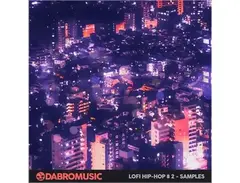 DABRO Music Lofi Hip-Hop Samples 2 main image