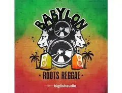 Big Fish Audio Babylon - Roots Reggae main image