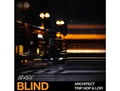 Blind Audio Architect â Trip Hop & Lofi main image